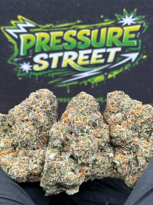 #AI009 - Royal Gelato (Hybrid)