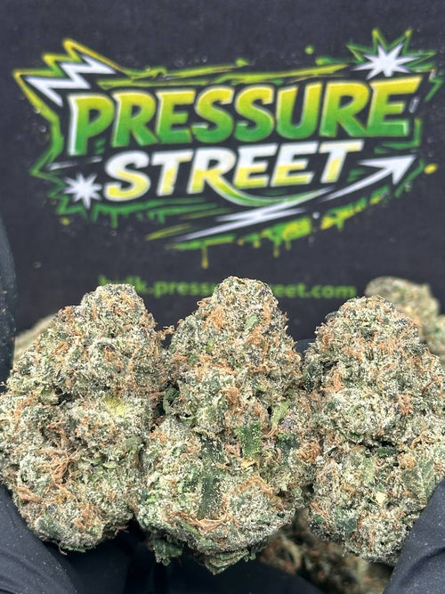 #AI503 - Citrus Zlushie (Hybrid)