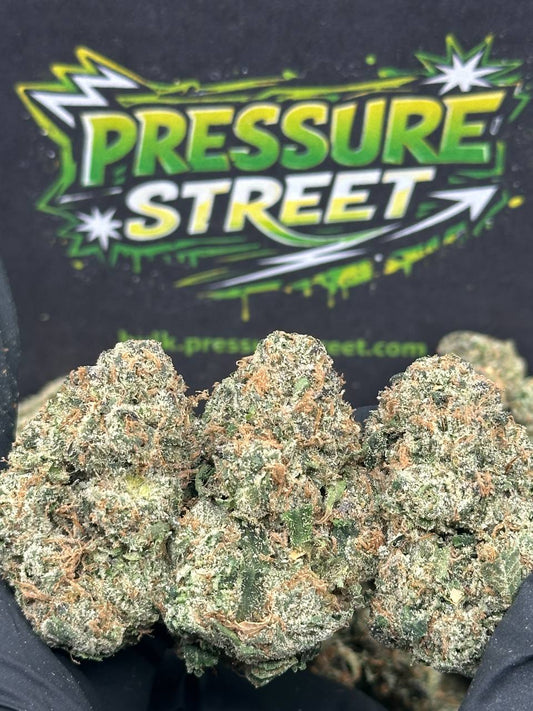 #AI503 - Citrus Zlushie (Hybrid)