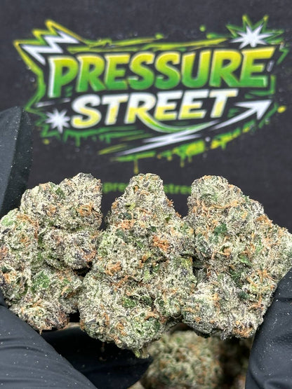 #YKL803 - Cherry Fuel (Indica Hybrid)