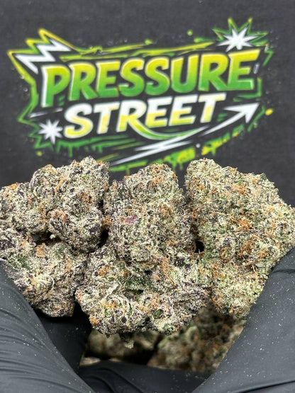 #KIL725 - Lime Sherbet (Indica Hybrid)