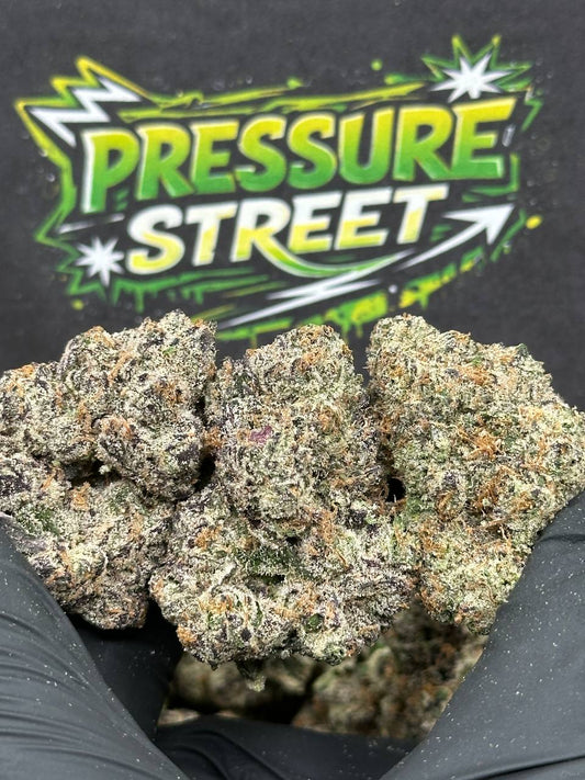 #KIL725 - Lime Sherbet (Indica Hybrid)