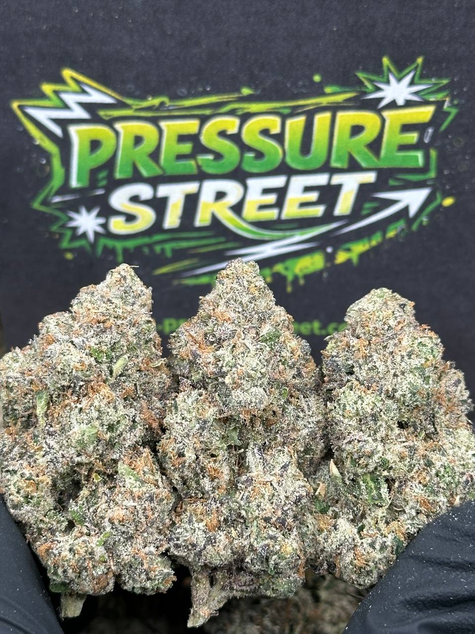 #YKL801 - Candy Cream (Hybrid)