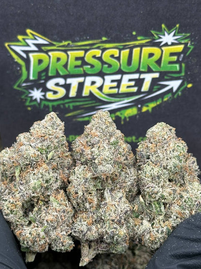 #YKL801 - Candy Cream (Hybrid)