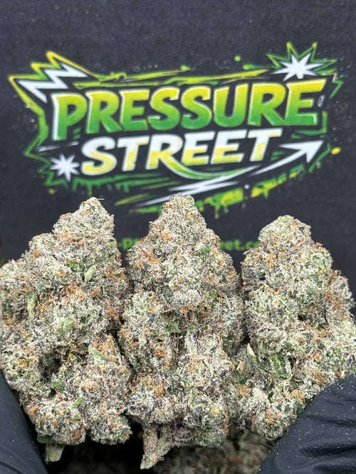 #YKL801 - Candy Cream (Hybrid)