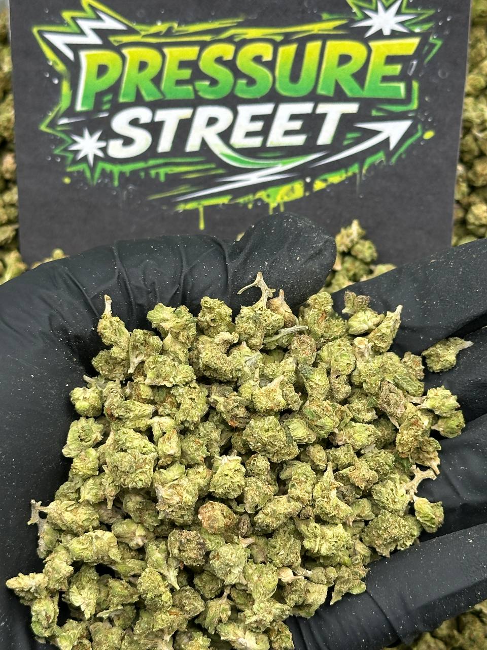 #SM479 - Stone Timber SM (Indica Hybrid)