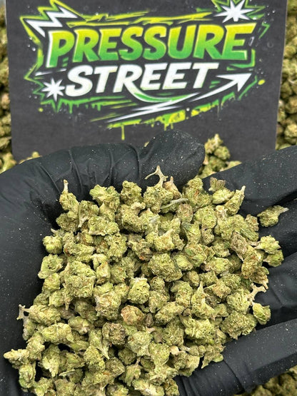 #SM479 - Stone Timber SM (Indica Hybrid)