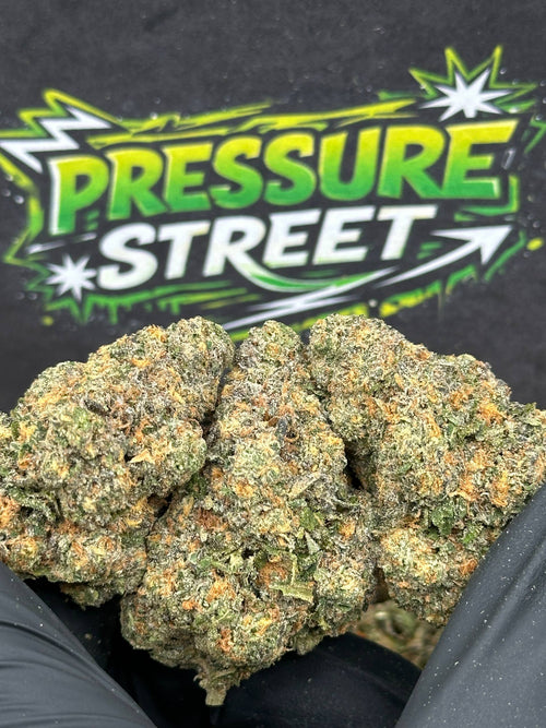 #YKLGS102 - Diesel Crown (Hybrid)