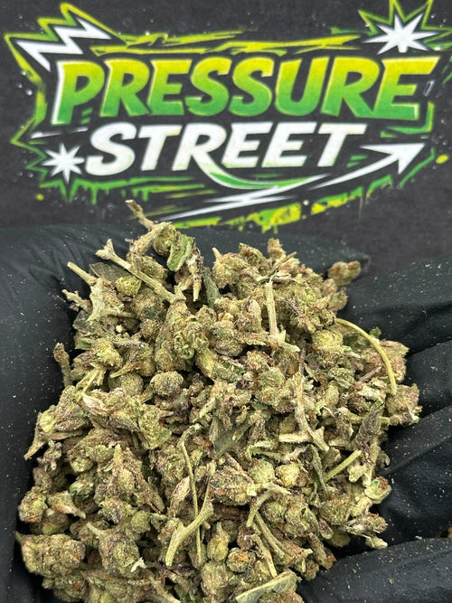 #MC01 - Micros (Indica)