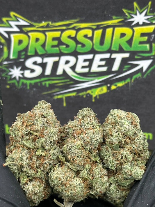 #EX538 - 9 LB Hammer (Indica)