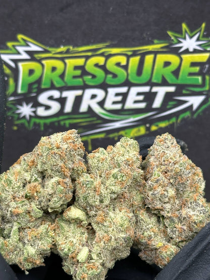 #XLG003 - Octane Gas (Sativa)