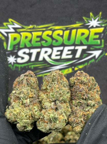 #EX553 - Ice Cream Cookies (Indica Hybrid)