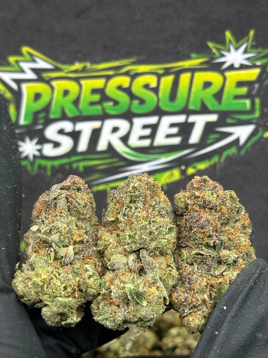 #EX553 - Ice Cream Cookies (Indica Hybrid)