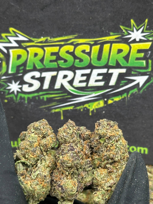 #EX556 - Mint Chocolate Runtz (Hybrid)