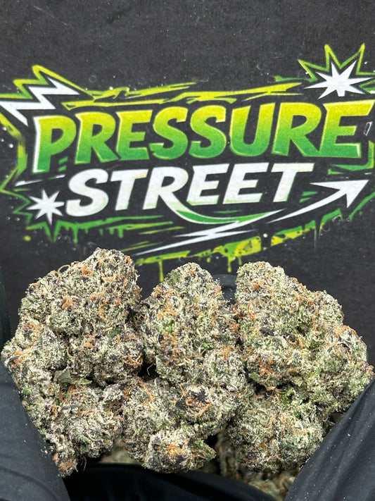 #KIL729 - Quattro Kush (Indica)