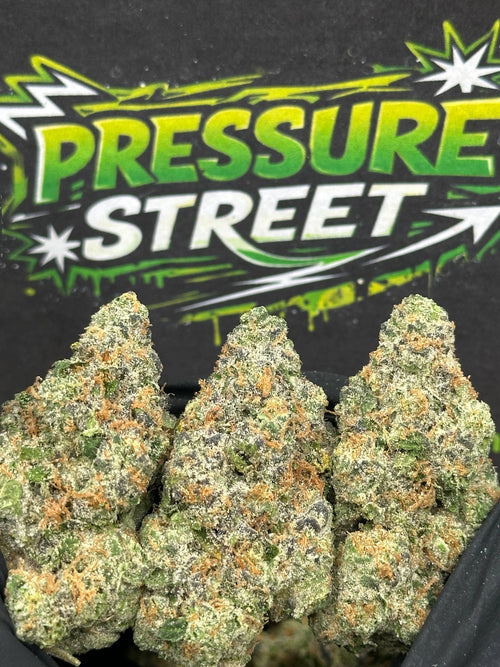 #YKL213 - Glitter Bomb (Hybrid)