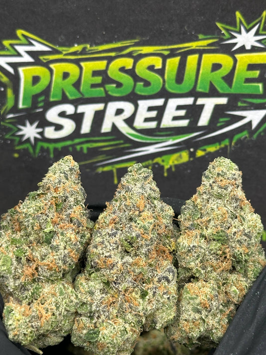 #YKL213 - Glitter Bomb (Hybrid)