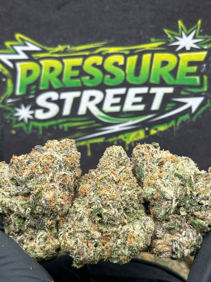 #YKL214 - GMO (Indica)