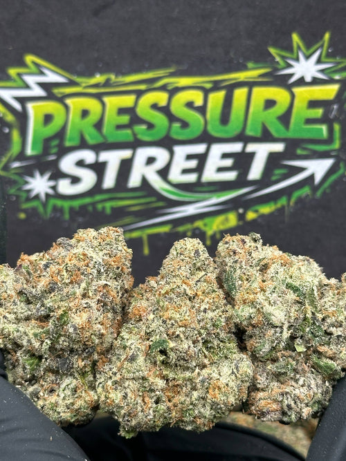 #YKL214 - GMO (Indica)