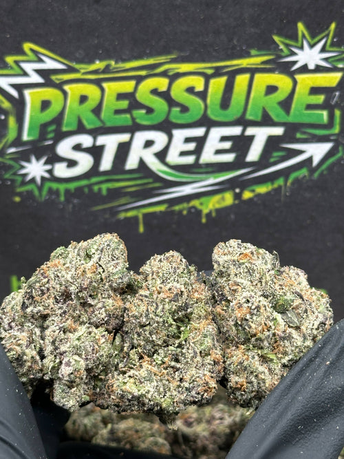 #YKL814 - ZAP (Hybrid)