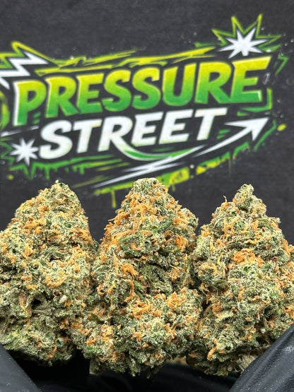 #EX572 - Tropical Punch (Hybrid)