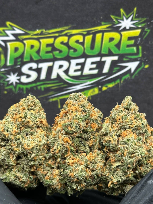 #EX572 - Tropical Punch (Hybrid)