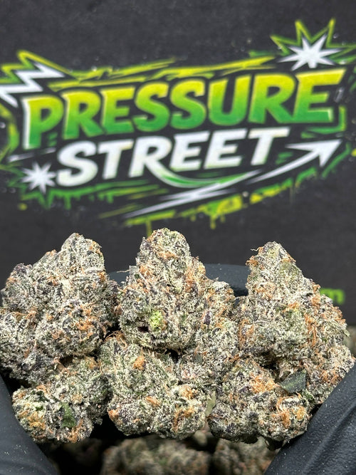 #AI209 - Royal Gas (Indica Hybrid)
