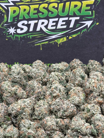 #KAM307 - Wonder Bread (Hybrid)