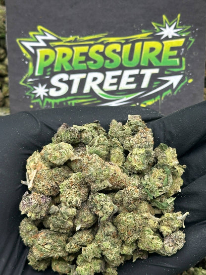 #SM518 - Lemon Cherry SM (Hybrid)