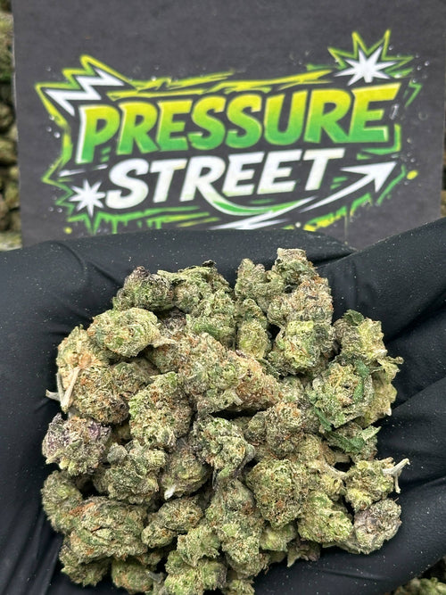 #SM518 - Lemon Cherry SM (Hybrid)