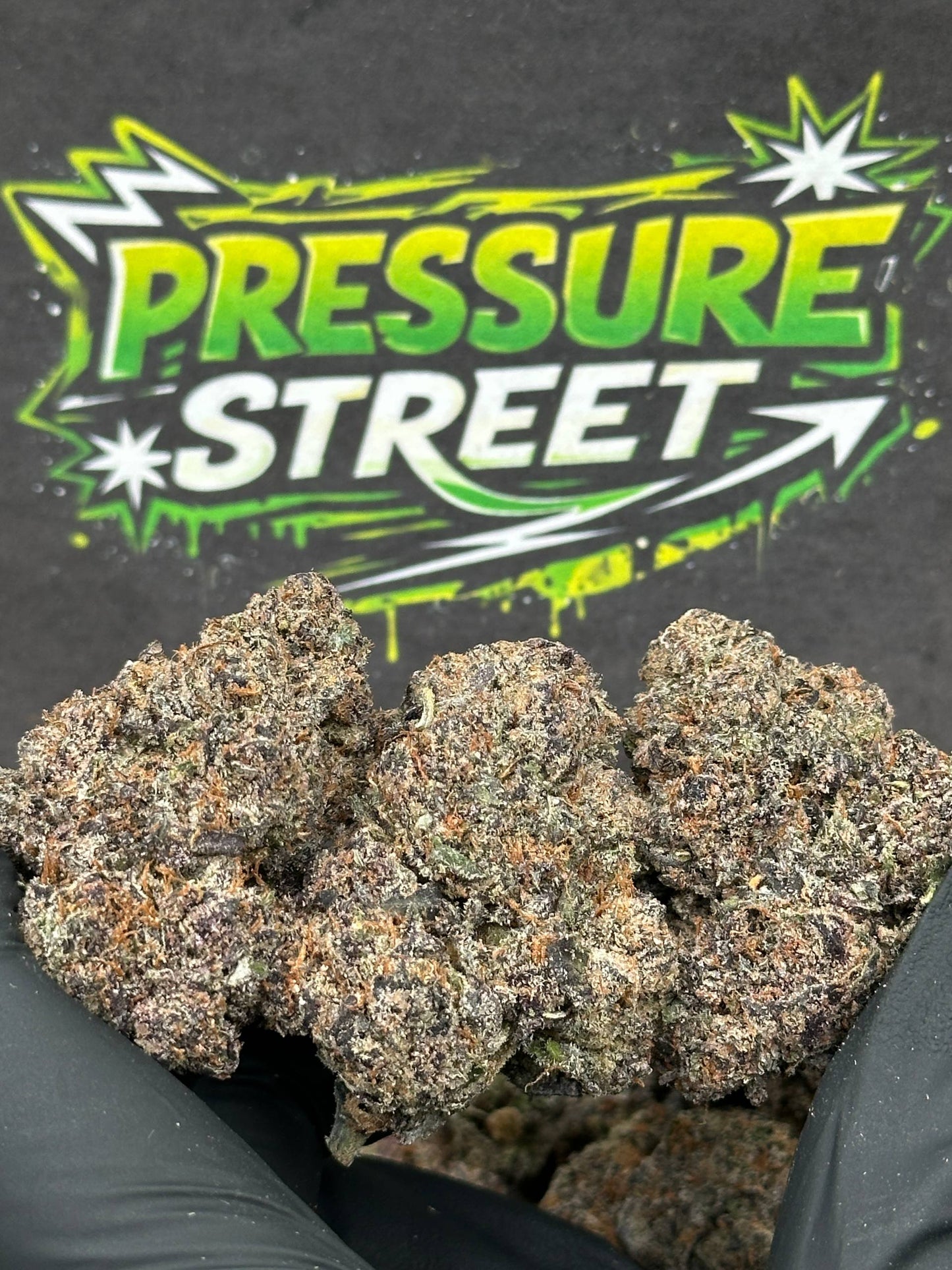 #EX582 - Honey Bun (Hybrid)