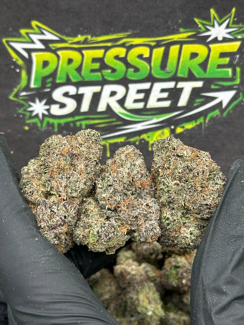 #EX583 - Apple Sundae (Hybrid)