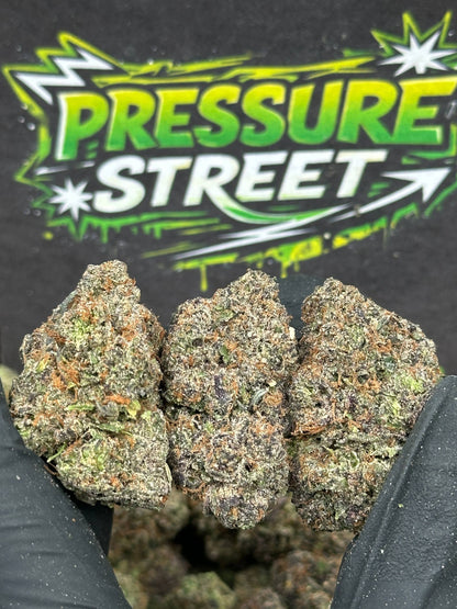 #EX581 - Cherry Cake (Hybrid)