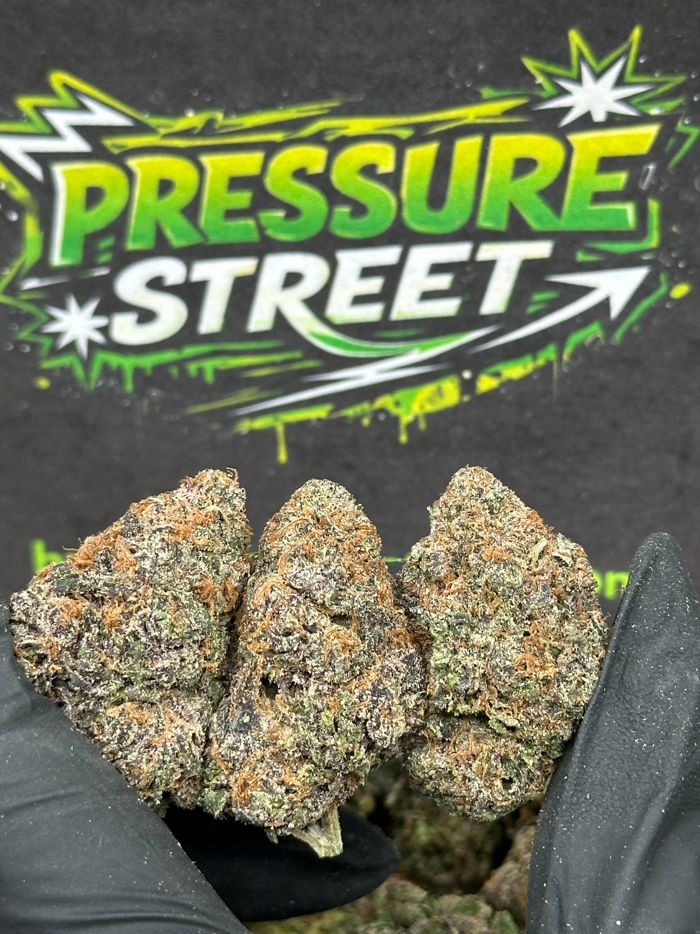 #EX584 - Strawberry Frost (Hybrid)