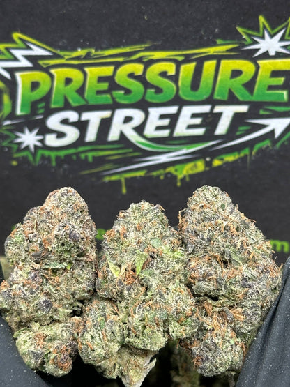 #EX585 - Tangie Mint (Hybrid)