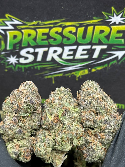 #EX585 - Tangie Mint (Hybrid)
