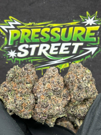#EX589 - Pineapple Pez (Hybrid)
