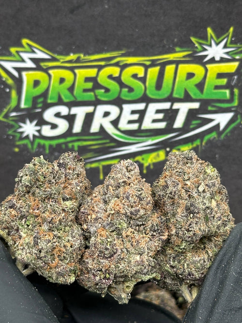 #EX589 - Pineapple Pez (Hybrid)