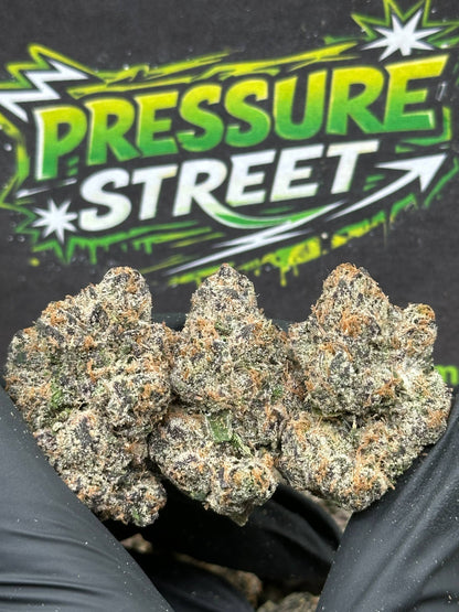 #KIL734 - Strawberry Sherbet (Hybrid)