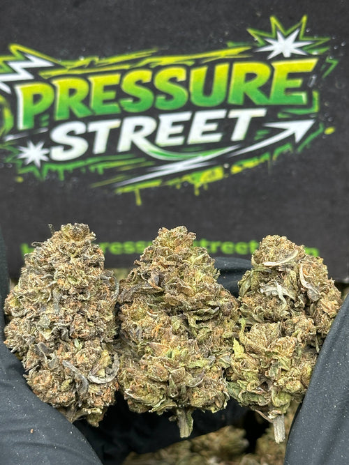 #B640 - Mountain Mist (Indica)