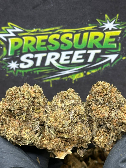 #B642 - Garden Herb (Sativa)