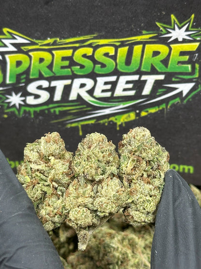 #IP022 - Cotton Candy (Hybrid)