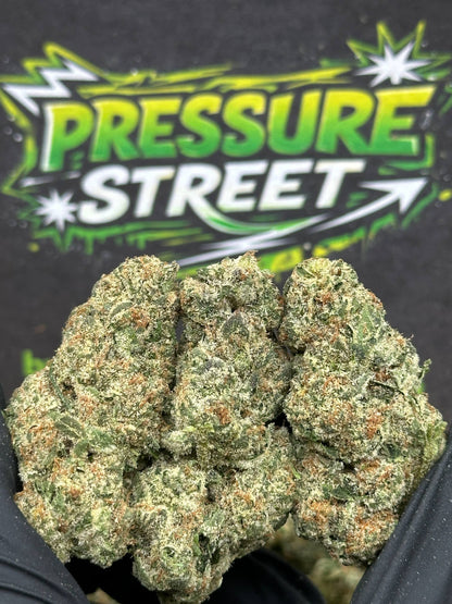 #CEA018 - Pink Truffle (Hybrid)
