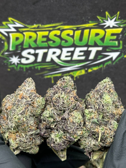 #EX598 - Lemon Ice (Hybrid)