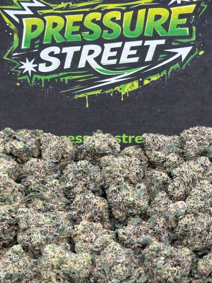 #KAM309 - Sugar Rush SM (Hybrid)