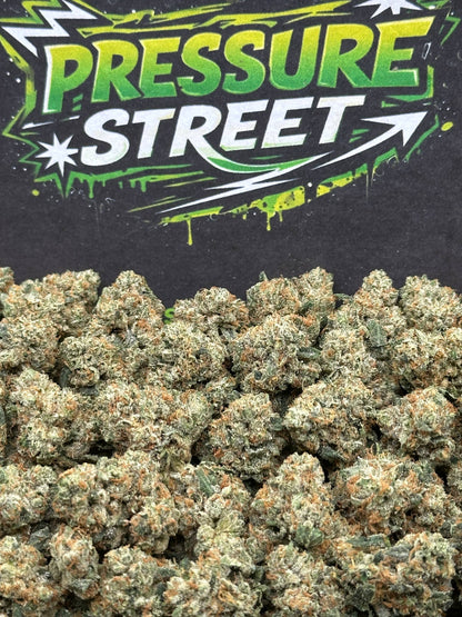 #KAM311 - Sweet Sherbet SM (Hybrid)