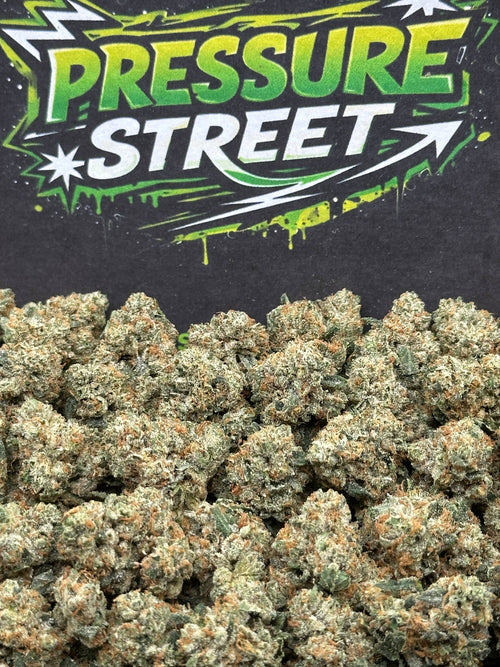 #KAM311 - Sweet Sherbet SM (Hybrid)