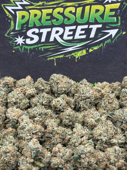 #KAM313 - Berry Glow SM (Hybrid)