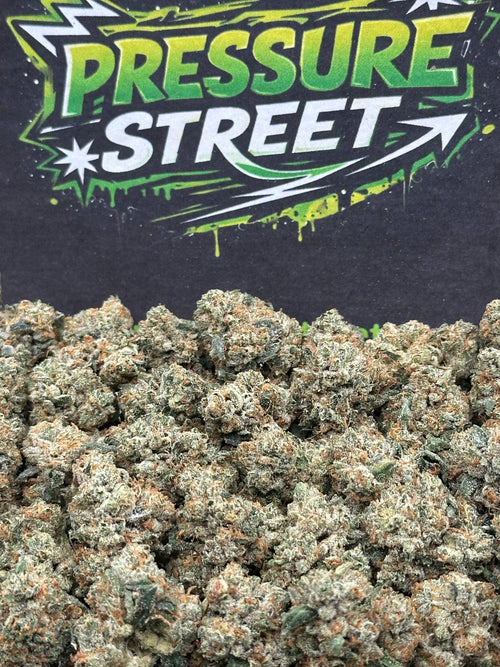#KAM313 - Berry Glow SM (Hybrid)