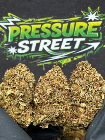 #B648 - Hill Breeze (Hybrid)